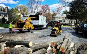 Best Emergency Tree Removal Services  in USA